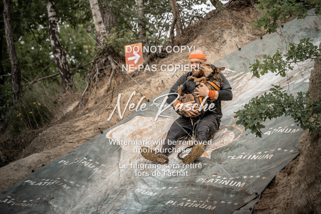 nelerasche_sa1230-1300_90 | nelerasche