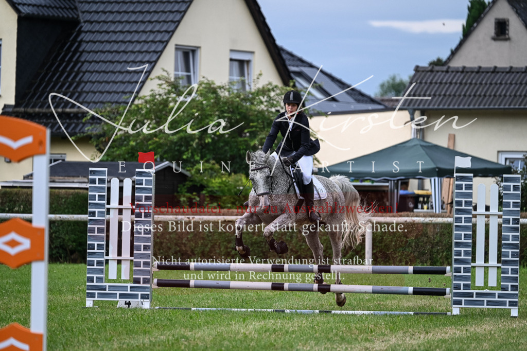 DSC_8335 | Pferde- und Turnierfotografie in Westsachsen. Pferdeportraits, Auftragszeichnungen und intuitive Kunst.