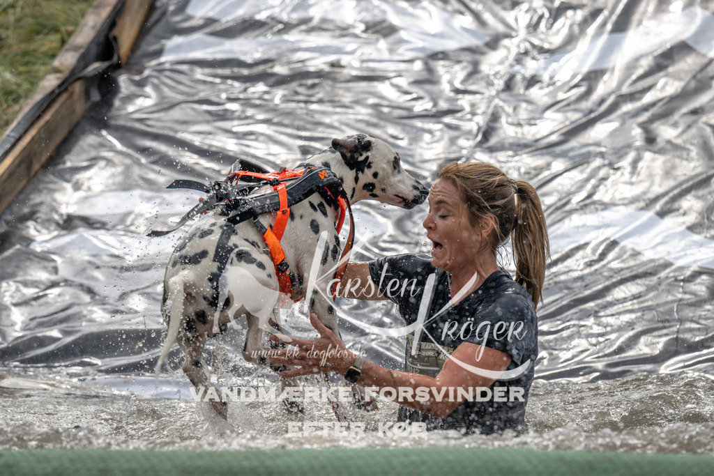 1300_ZZ90320 | kk-dogfotos