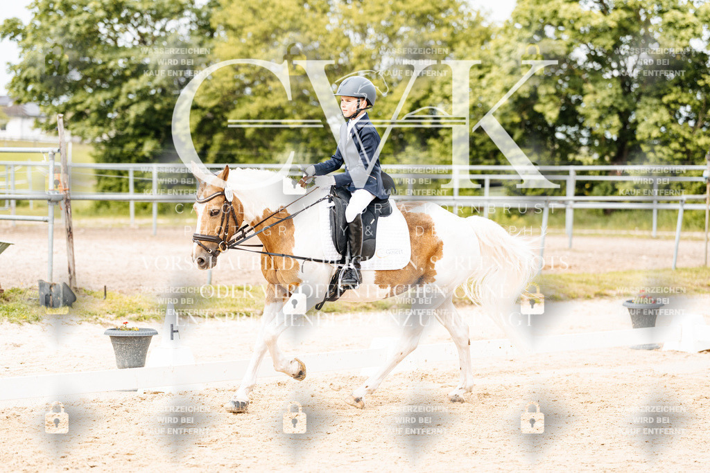 CK904625 | Turnierfotografie Pferdefotografie Trier Rheinland-Pfalz Pferdesport Reitsport Tierfotografie Sportfotografie Pferdevideo Pferdevideografie Equestrianvideography equestrianphotography  - Realisiert mit Pictrs.com