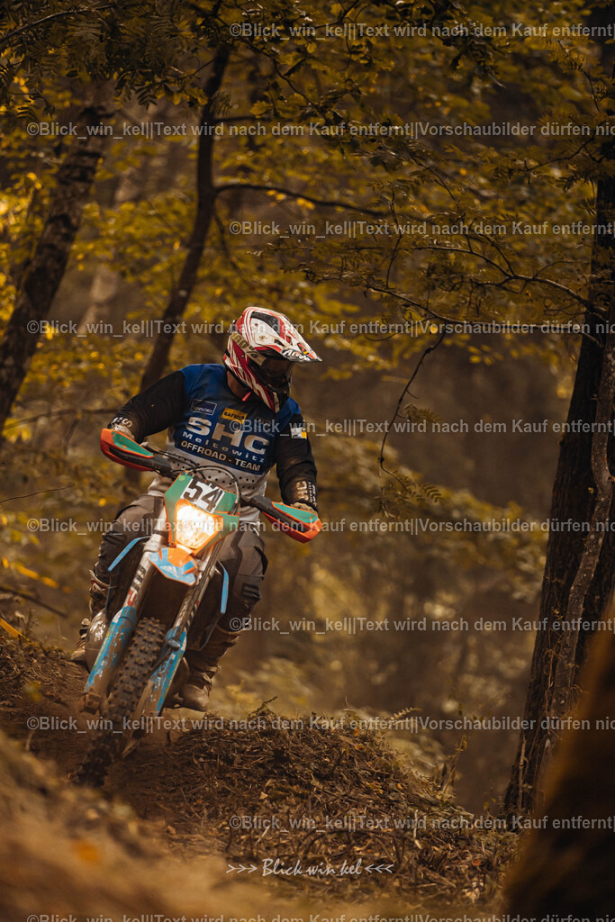 E68A3969 | blick_win_kel