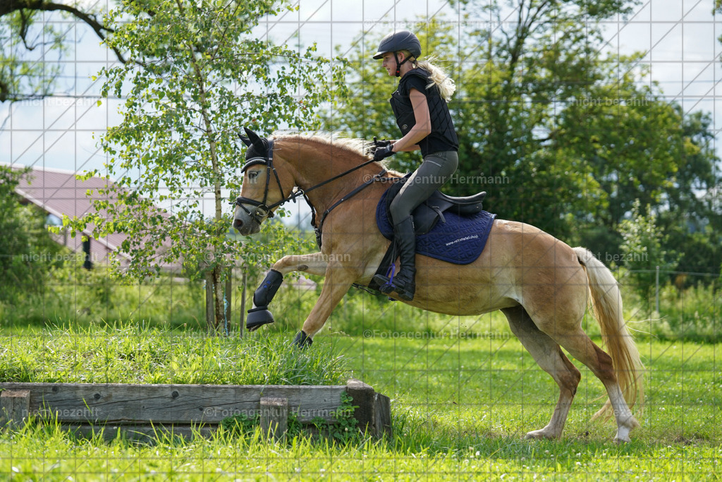 20240622-FAH08069 | Turnierfotografen Bayern, Reitsportbilder aus dem Geländekurs mit Felix Etzel auf dem Gut Waitzacker 2024