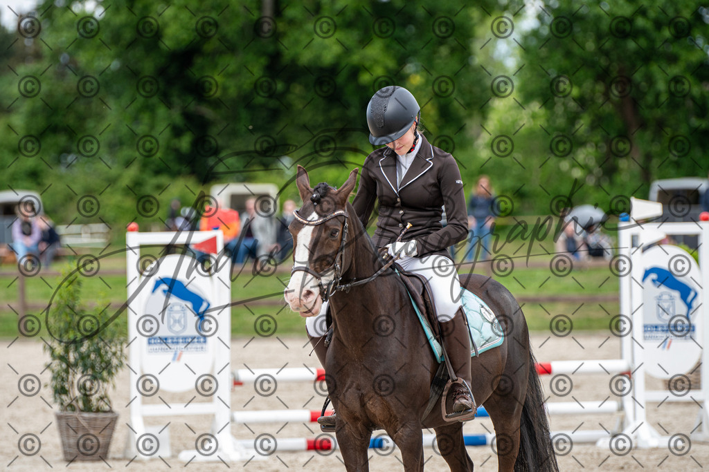 KPT_6301 | andre_photographic