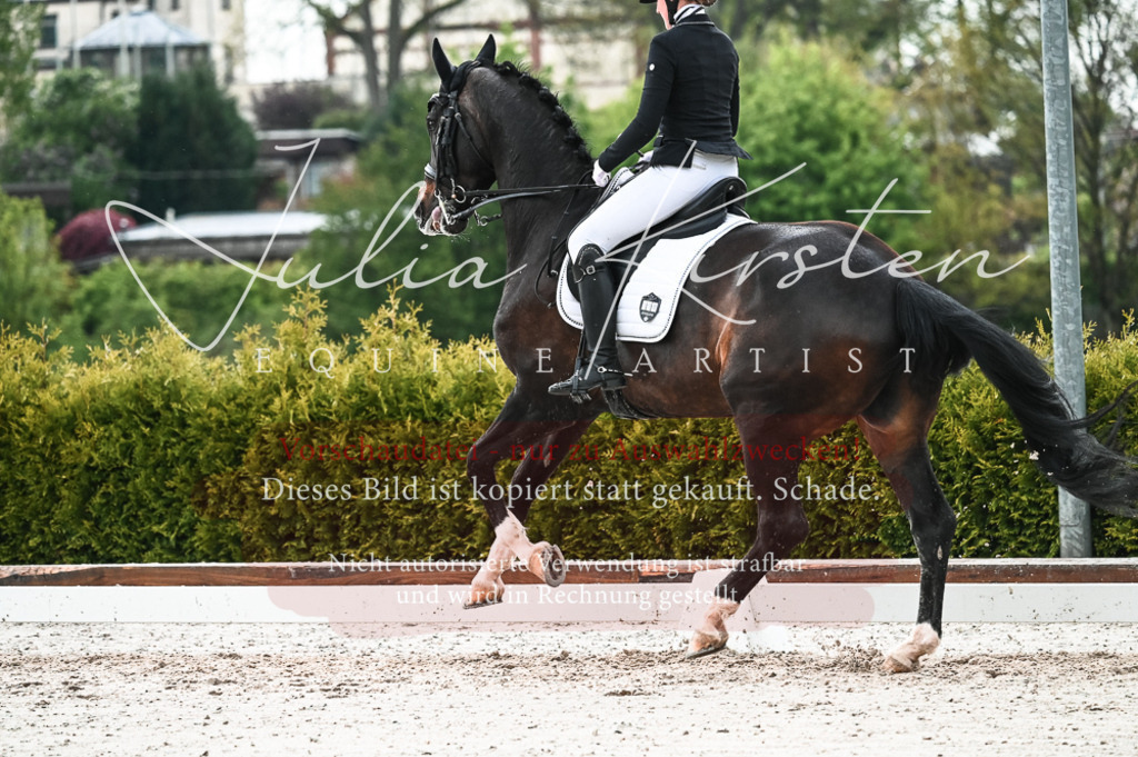 DSC_4362 | Pferde- und Turnierfotografie in Westsachsen. Pferdeportraits, Auftragszeichnungen und intuitive Kunst.