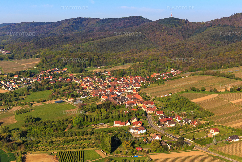 Luftbild: Ortsansicht von Osten in Rott im Bundesland Bas-Rhin in Frankreich. – Foto: IMG_099297.jpg vom 30.04.2017 durch Werner Riehm/FLY-FOTO.de – Auflösung des Originals: 4696 x 3131 px
