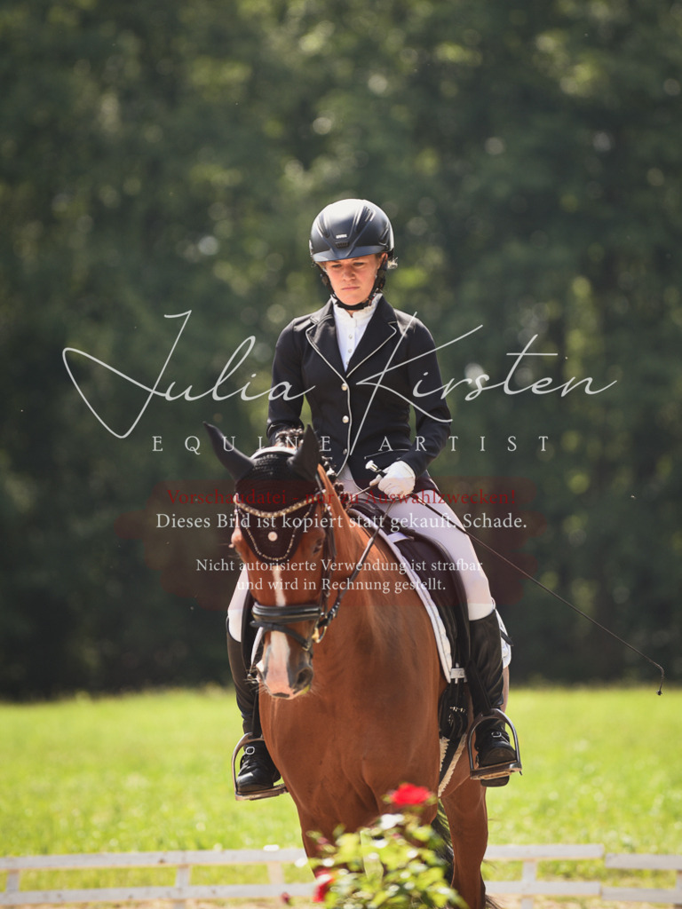 DSC_0895 | Pferde- und Turnierfotografie in Westsachsen. Pferdeportraits, Auftragszeichnungen und intuitive Kunst.