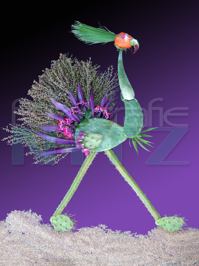 64 | Nitz Fotografie aus Montabaur bietet Ihnen hier die Möglichkeit Bilder auszusuchen und zu bestellen. 