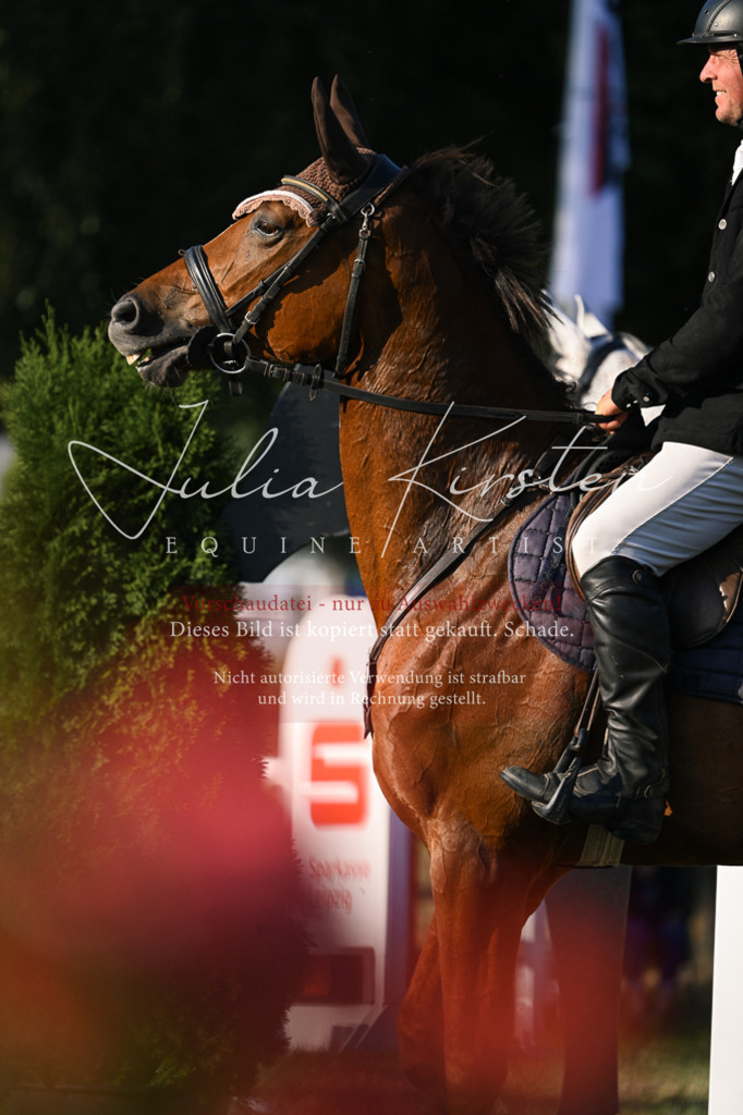 DSC_1846 | Pferde- und Turnierfotografie in Westsachsen. Pferdeportraits, Auftragszeichnungen und intuitive Kunst.