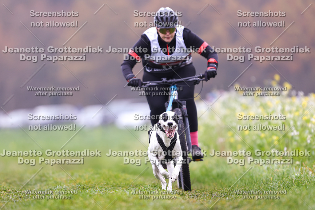 Dog Paparazzi - Visbeck 25 -175 | Dog Paparazzi Jeanette Grottendiek Fotografie & Videografie - Realisiert mit Pictrs.com