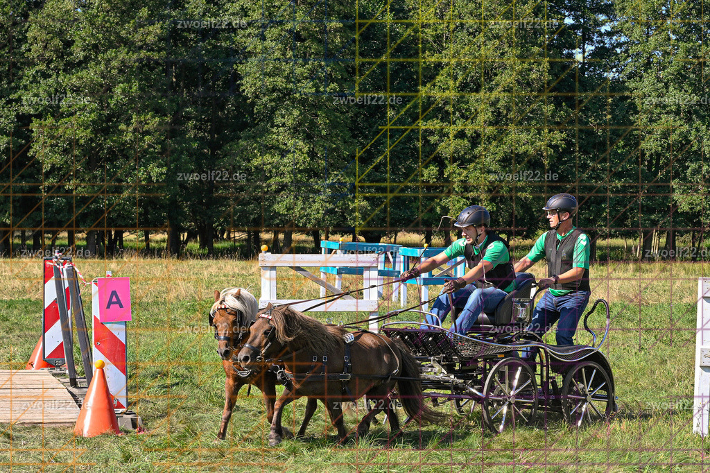 30 Jahre RFV Pulsnitz e.V., Pulsnitz am 09.08.2026 | 30Jahre Reit- und Fahrverein Pulsnitz e.V., Pulsnitz am 08.08.2026Zur 28. breitensportlichen Veranstaltung des RFV Pulsnitz e.V. fanden verschiedene Wettbewerbe in nahezu allen Disziplinen des Pferdesport statt.- Geländefahr-Wettbewerb - Realisiert mit Pictrs.com
