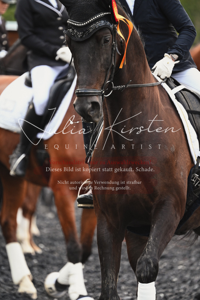 DSC_2799 | Pferde- und Turnierfotografie in Westsachsen. Pferdeportraits, Auftragszeichnungen und intuitive Kunst.
