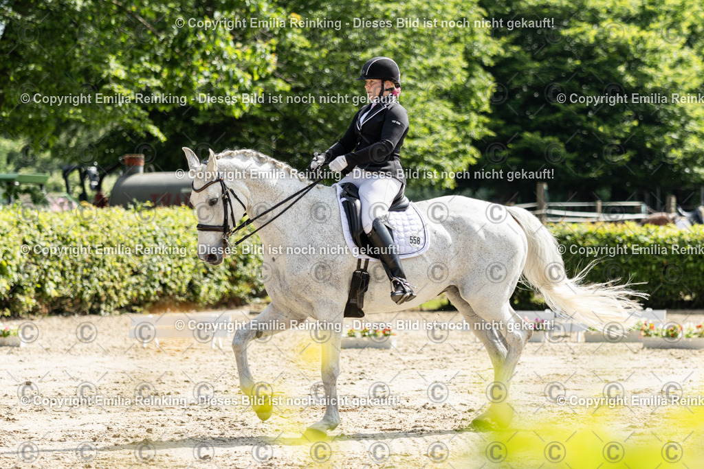 CL5A7602 | Emilia Reinking Fotografie - Realisiert mit Pictrs.com