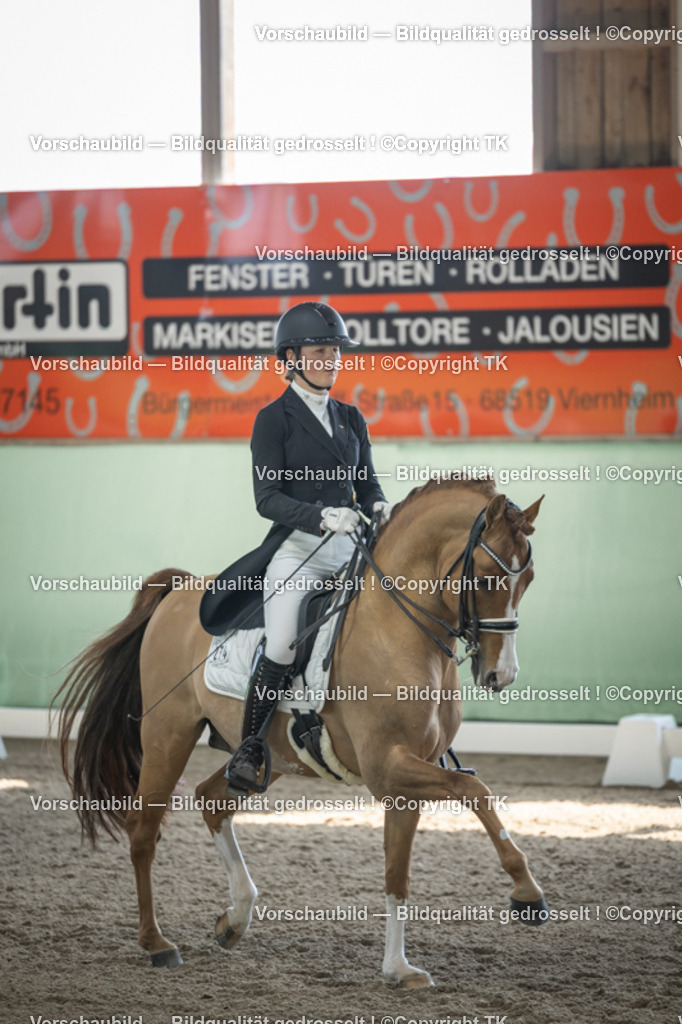 _D5A9448 | Emotionale Pferde- & People-Fotografie rund um Heidelberg, Leimen & Umgebung. Natürliche Fotos von Pferd, Mensch & Familie. Jetzt Termin sichern!