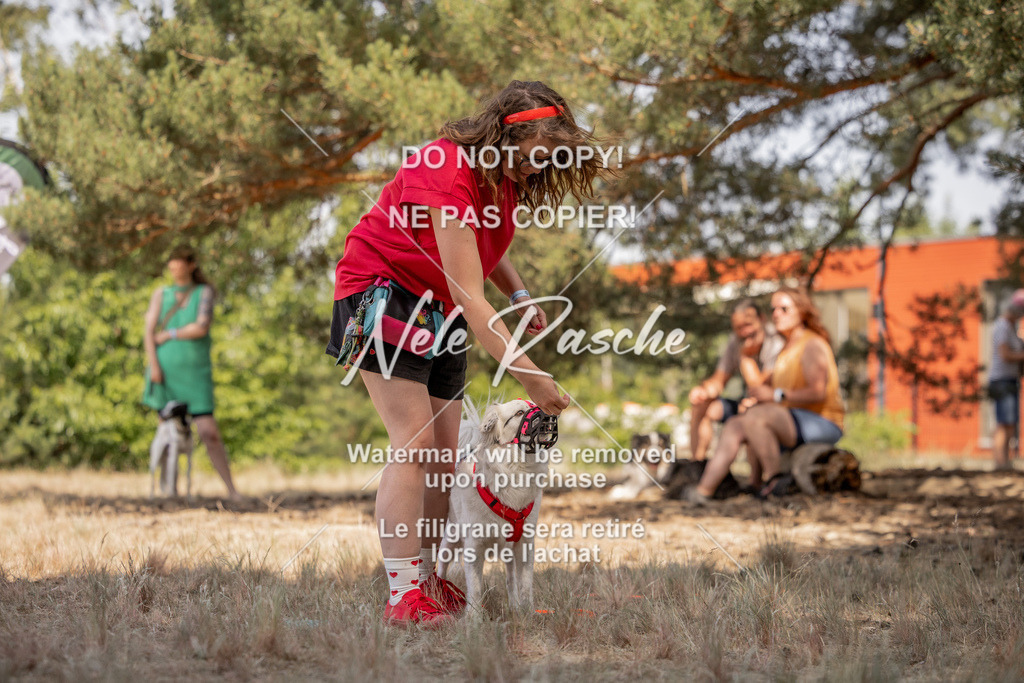 nelerasche_soDD2_385 | nelerasche