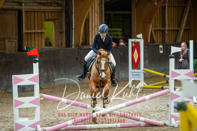 IMG_1844 | Turniersportfotografie; Pferdefotografie; Dressurfotografie