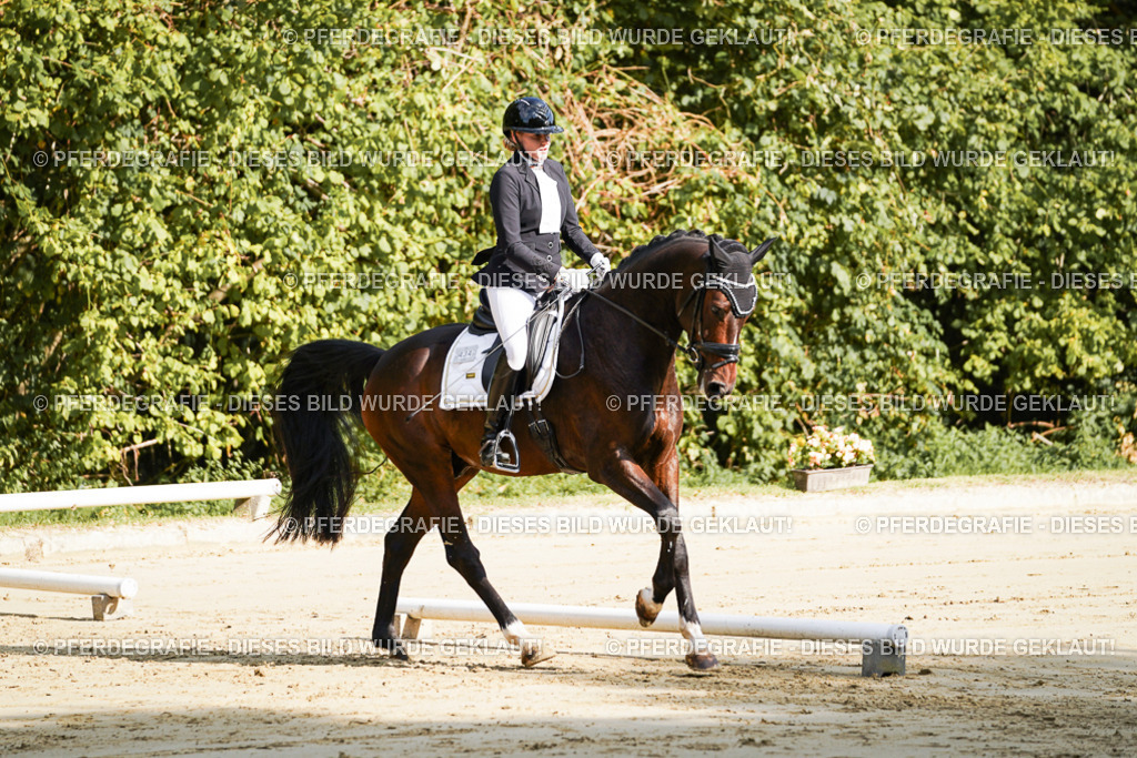 DSC07845 | Pferdegrafie