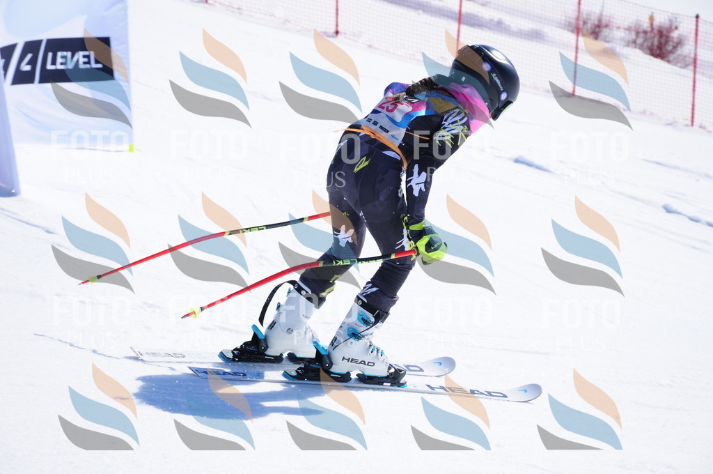 DSC_3866 | holidayphoto