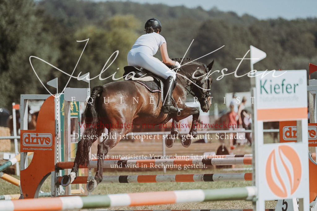 DSC_9546 | Pferde- und Turnierfotografie in Westsachsen. Pferdeportraits, Auftragszeichnungen und intuitive Kunst.