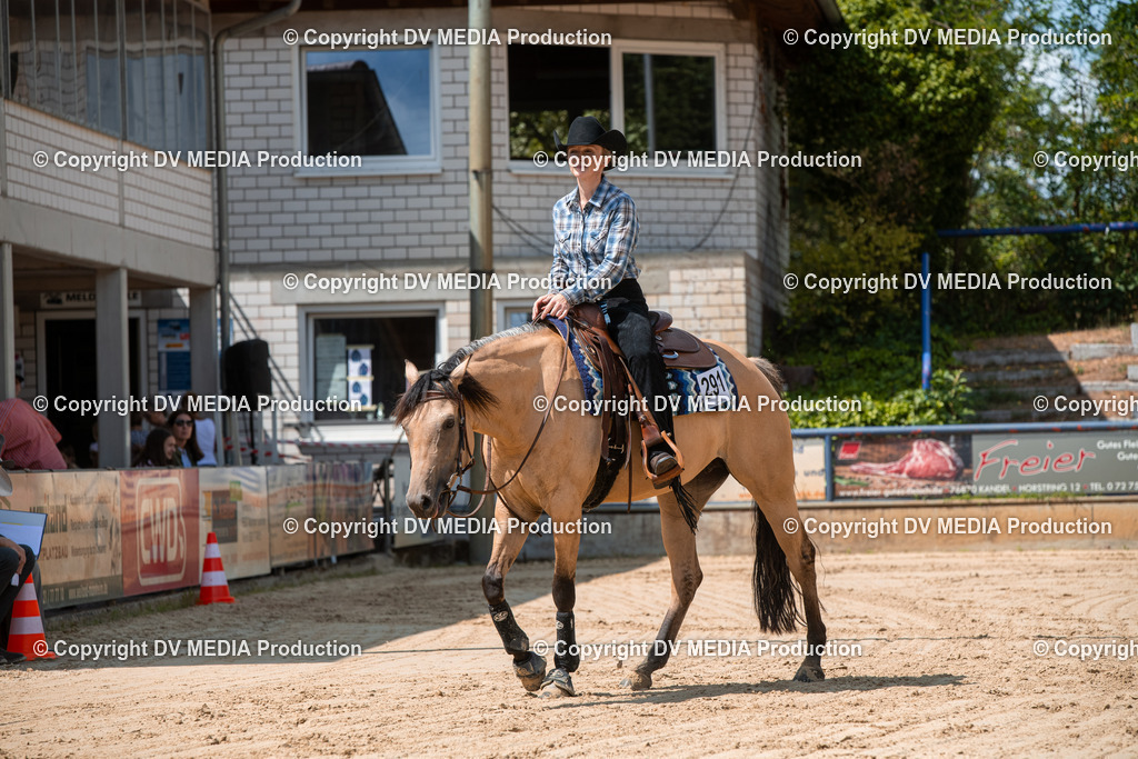 ZS3_9610 | dv-media-shop - Realisiert mit Pictrs.com