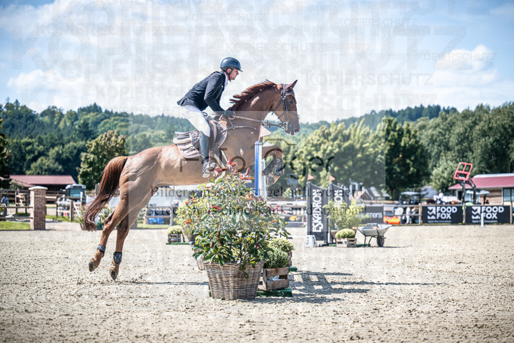 DOS_3399 | Entdecke hochwertige Reitturnierfotos von Foto Oger. Professionell, emotional und authentisch – jetzt Lieblingsmomente im Shop bestellen.Deutschlandweite Turnierfotografie. - Realisiert mit Pictrs.com