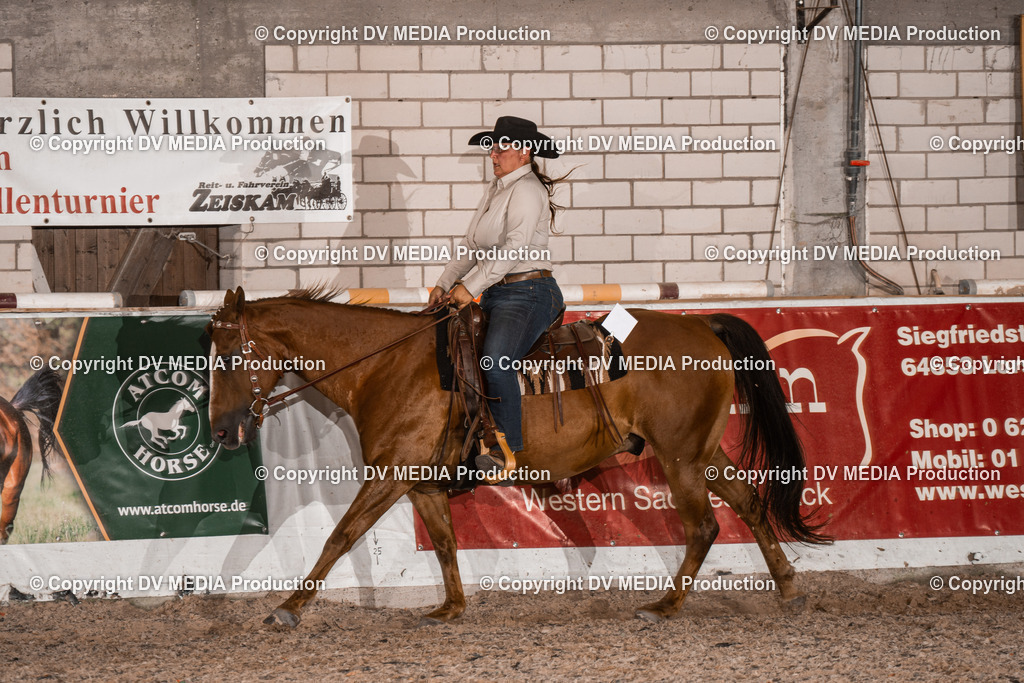 ZH100994 | dv-media-shop - Realisiert mit Pictrs.com