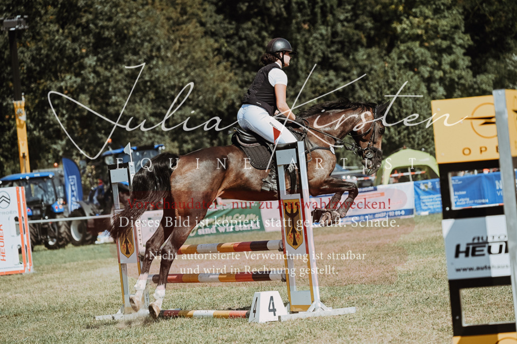 DSC_9857 | Pferde- und Turnierfotografie in Westsachsen. Pferdeportraits, Auftragszeichnungen und intuitive Kunst.