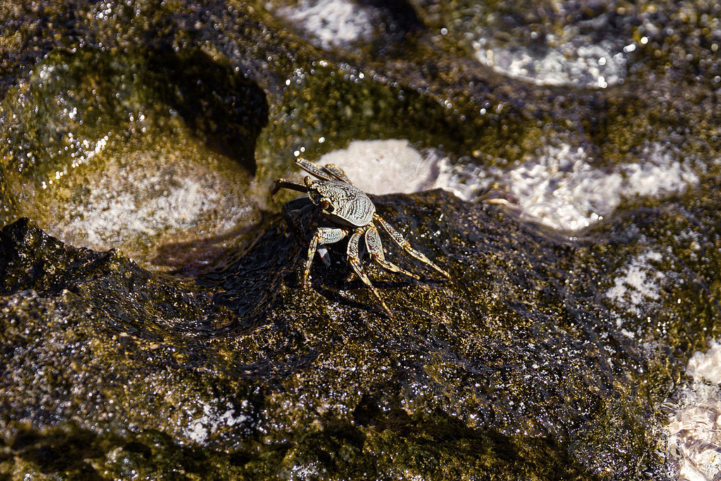 1H5A4630 | ansichtssache