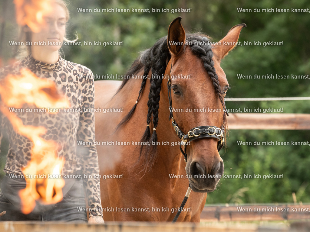 598A6939 | photographylinaismer - Realisiert mit Pictrs.com