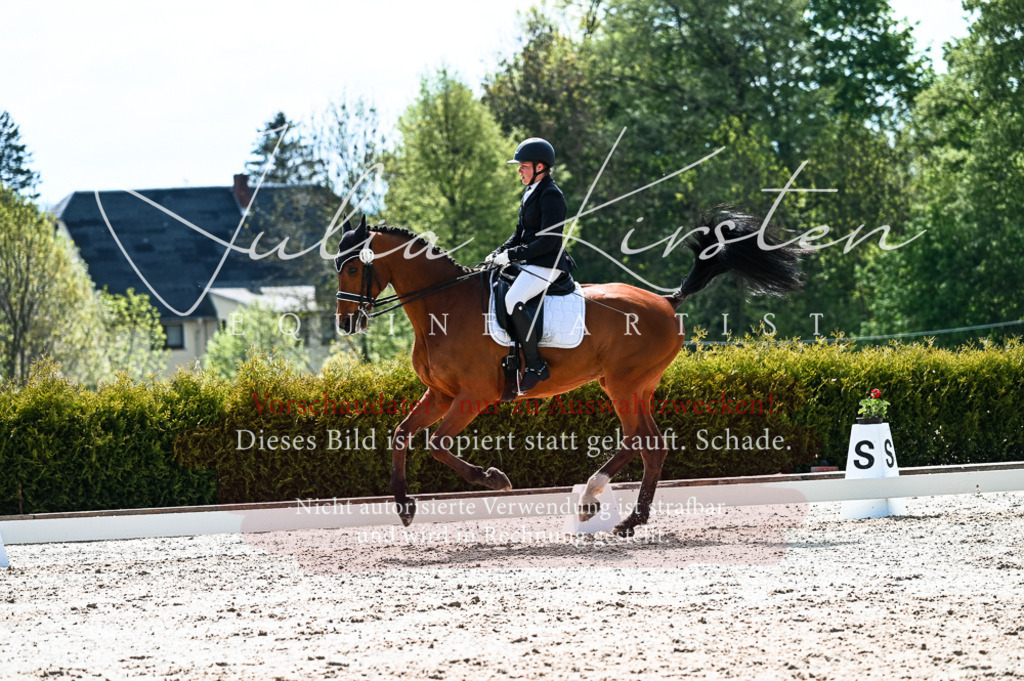 20230513_JK-Röhrsdorf-10-0601 | Pferde- und Turnierfotografie in Westsachsen. Pferdeportraits, Auftragszeichnungen und intuitive Kunst.