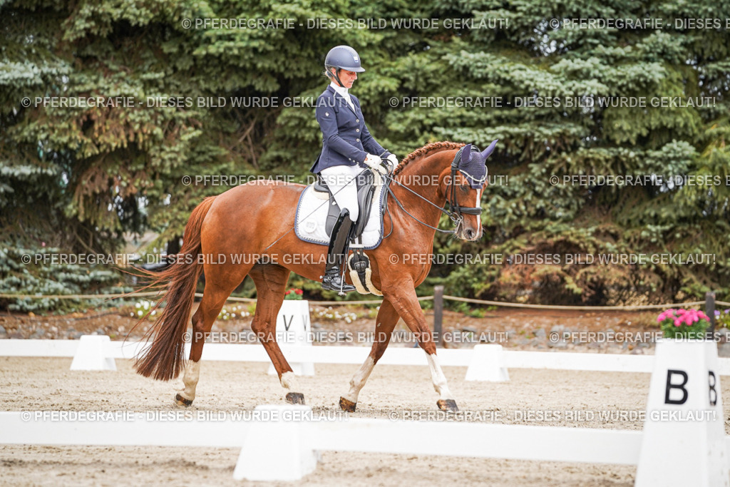 DSC05136 | Pferdegrafie