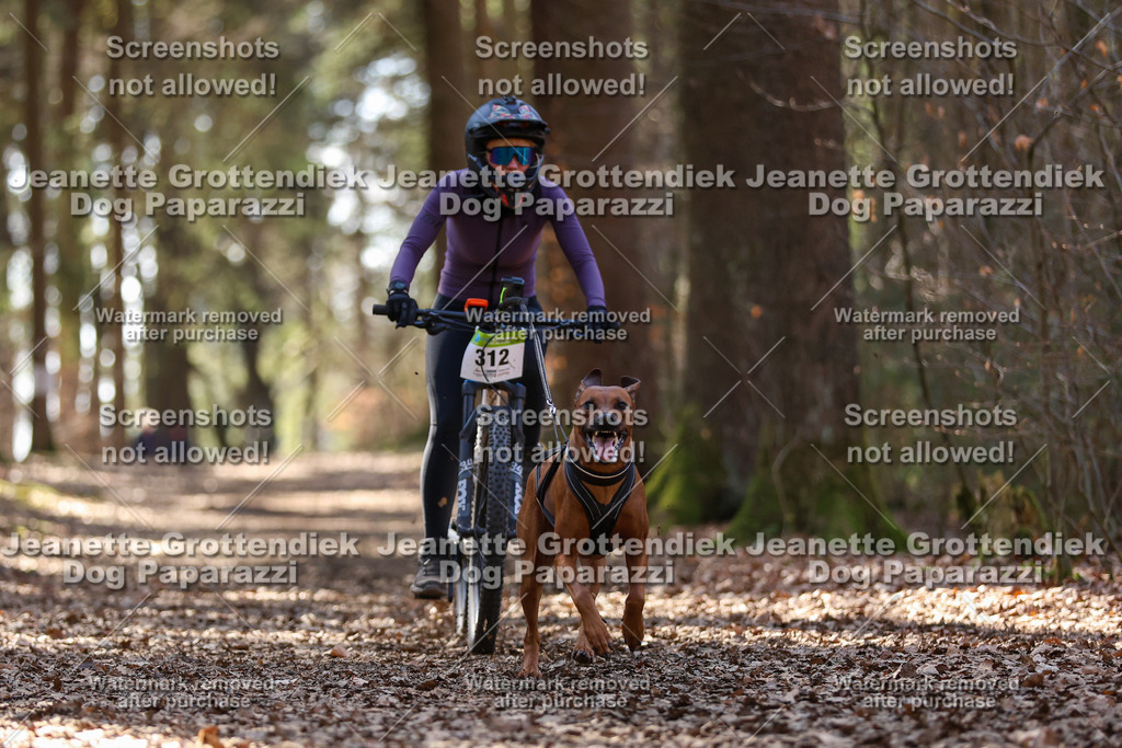 Dog Paparazzi - VCC26-1393 | Dog Paparazzi Jeanette Grottendiek Fotografie & Videografie - Realisiert mit Pictrs.com