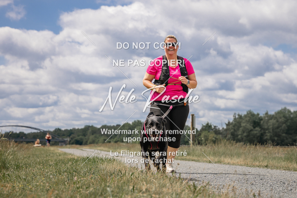 nelerasche_BuHu2026_SaCC1100-1200_192 | nelerasche