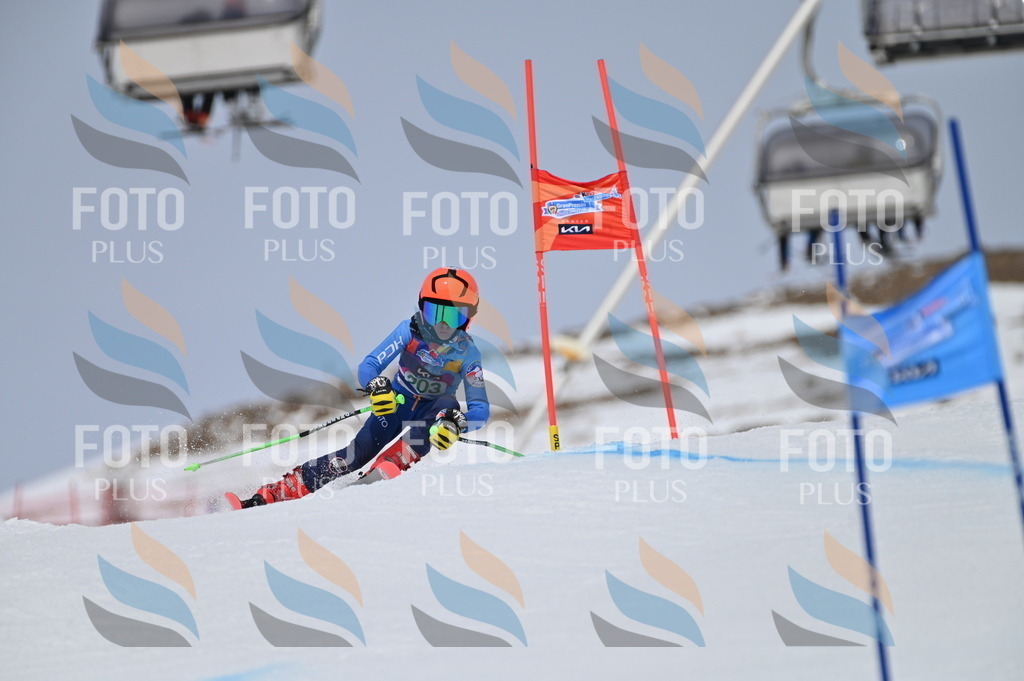 BGV_3905 | holidayphoto