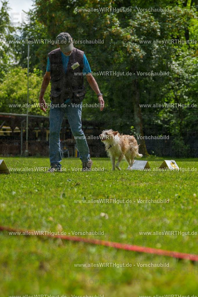 @allesWIRTHgut_Tierfotografie - www.allesWIRTHgut.de - 7R505544 | Professionelle Tierfotografie in Mönchengladbach von Daniel Wirth (allesWIRTHgut). Liebevolle & natürliche Bilder von Hunden & Katzen für unvergessliche Erinnerungen.