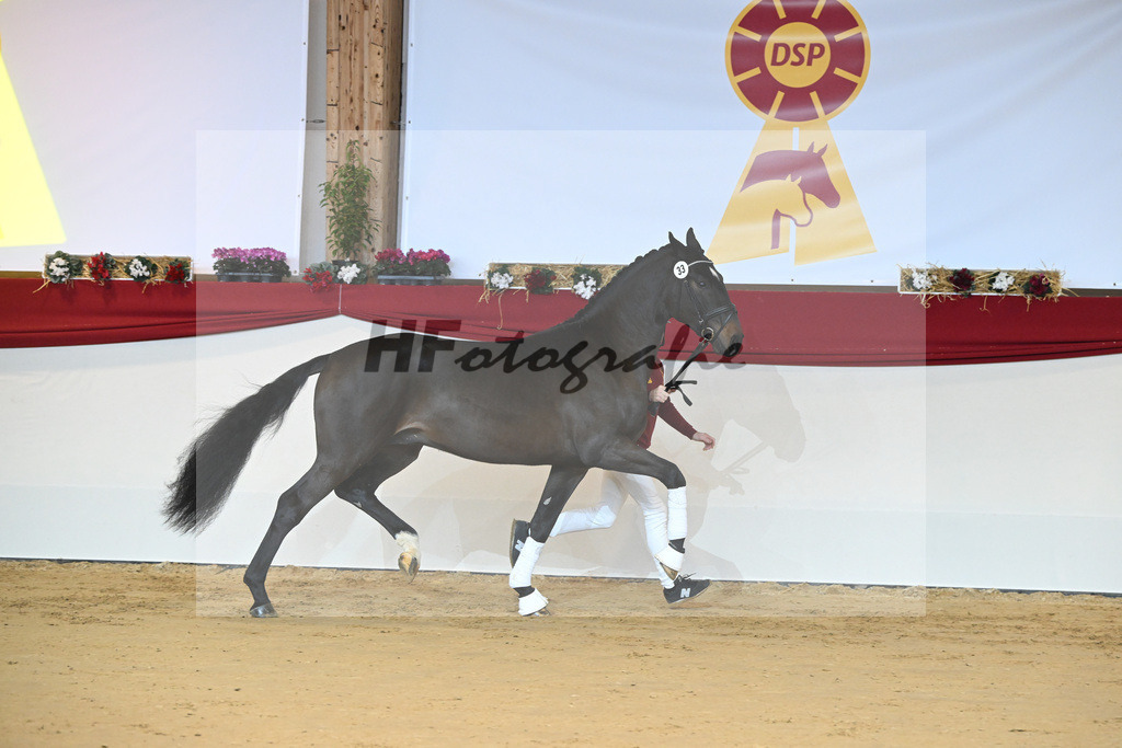 Kat-Nr. 33 Tobago Z_Gisler_1231222 | hf-fotografie - Realizzato con Pictrs.com