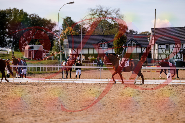 2026_10_03_Siefer-Hof_133120_Z81_84800621 | Professionelle Reitsport-, Turnier- und Eventfotografie von Robert Broda. Galerien mit ausgewählten und bearbeiteten Bildern direkt online ansehen und bestellen.