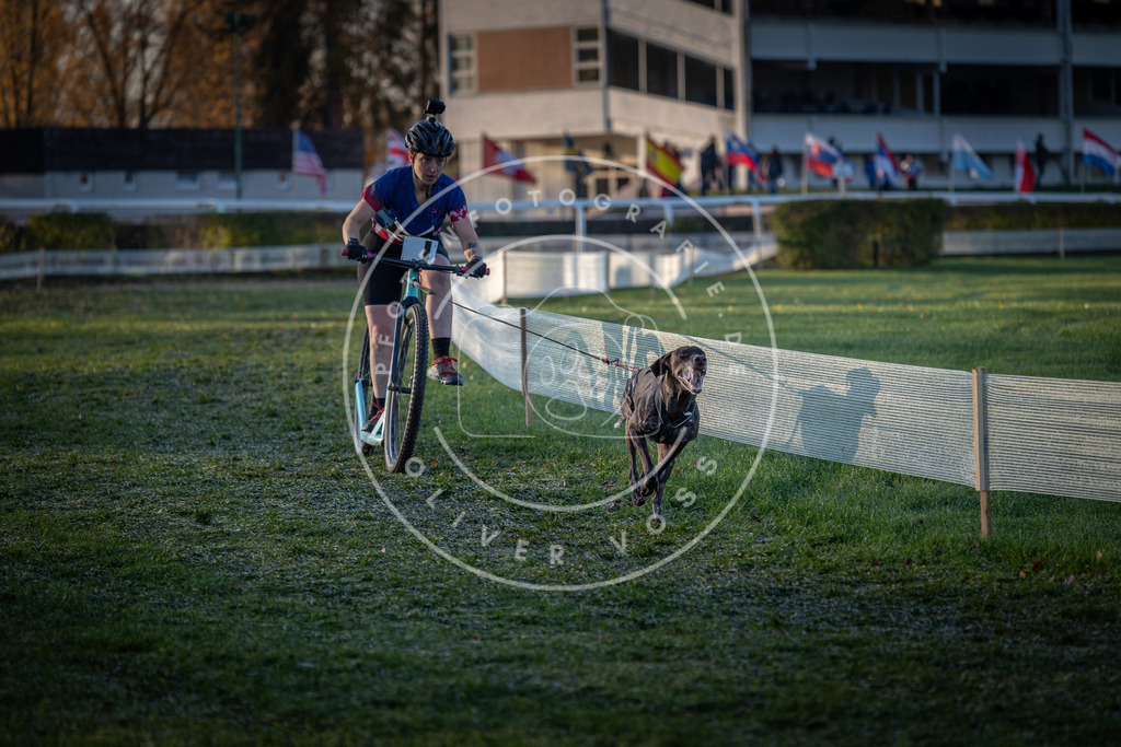 CaniXpix_0L8A1941 | Hundefotografie, Tierfotograf, Pfotenfotografie, Fotoshooting Hund, Hunde Portrait, Hundesport, Hundeportraits, Heideshooting, Hunde, Sportfotograf, Hundefotograf, Turnierhundsport, THS,  - Realisiert mit Pictrs.com