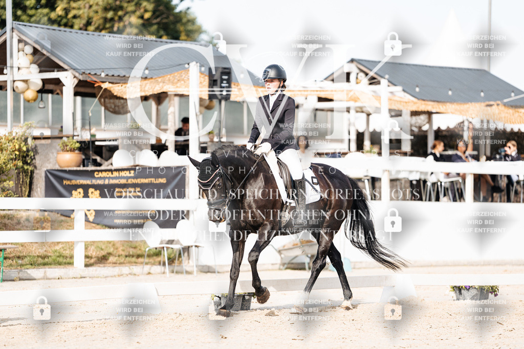 CK905069 | Turnierfotografie Pferdefotografie Trier Rheinland-Pfalz Pferdesport Reitsport Tierfotografie Sportfotografie Pferdevideo Pferdevideografie Equestrianvideography equestrianphotography  - Realisiert mit Pictrs.com