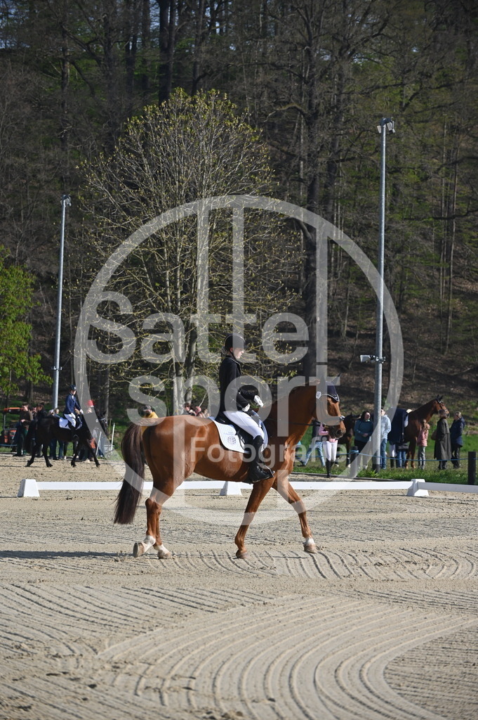 DSC_9924 | sattelsport - Realisiert mit Pictrs.com