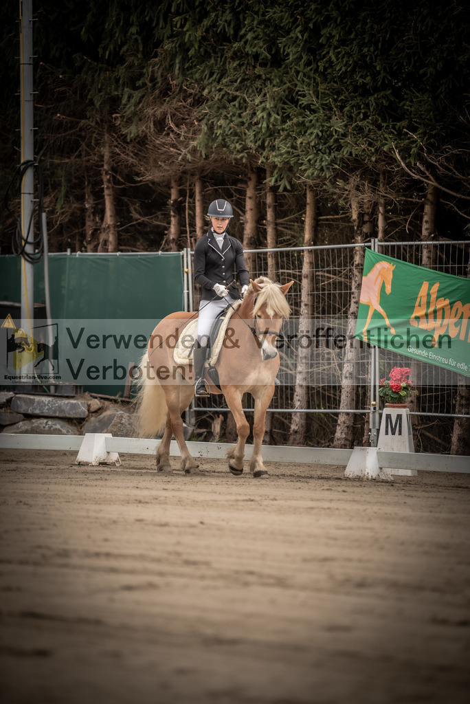 DSC_8114 | equestrian-live-com