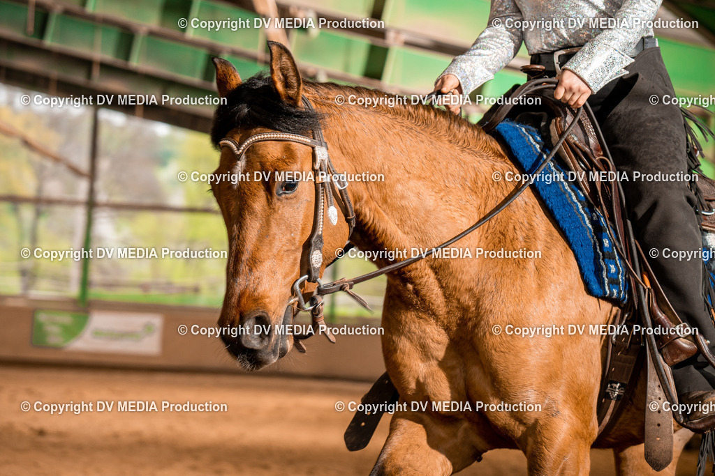 BA400527 | dv-media-shop - Realisiert mit Pictrs.com