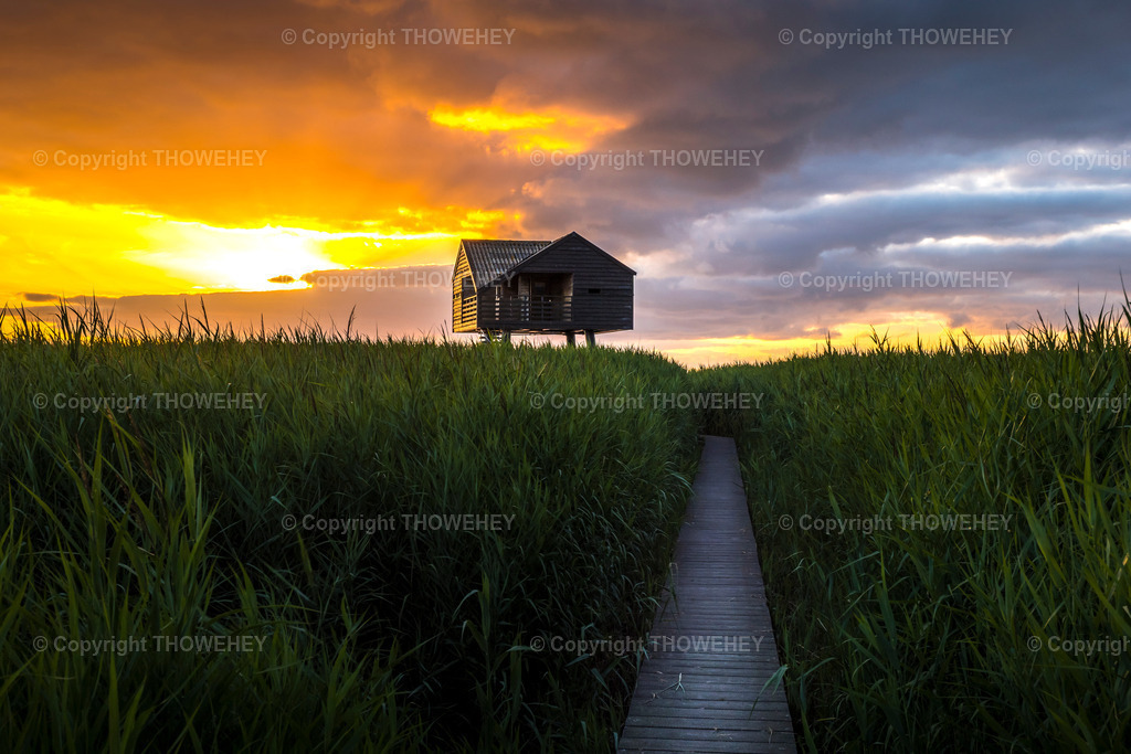 _1001270 | thowehey - Realisiert mit Pictrs.com