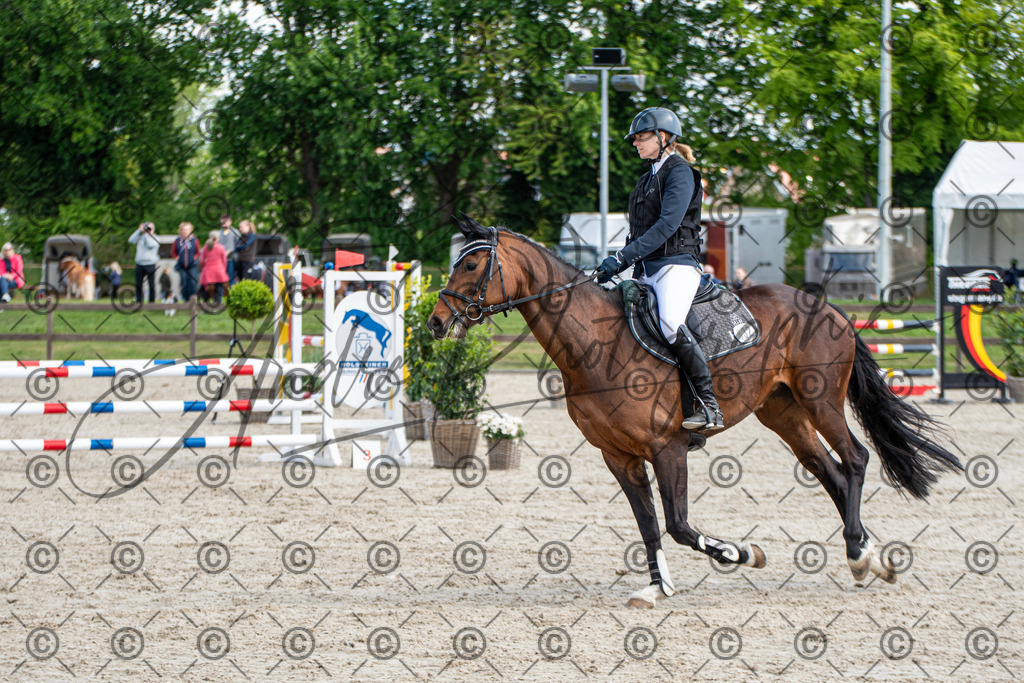 KPT_4999 | andre_photographic