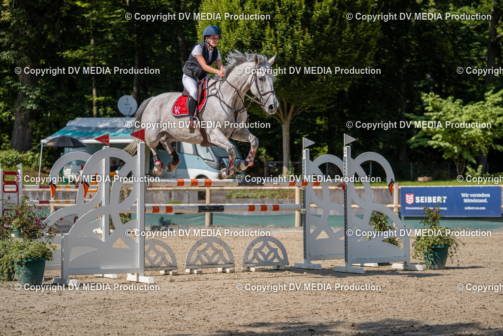 Hessische Tag 1-1593 | dv-media-shop - Realisiert mit Pictrs.com