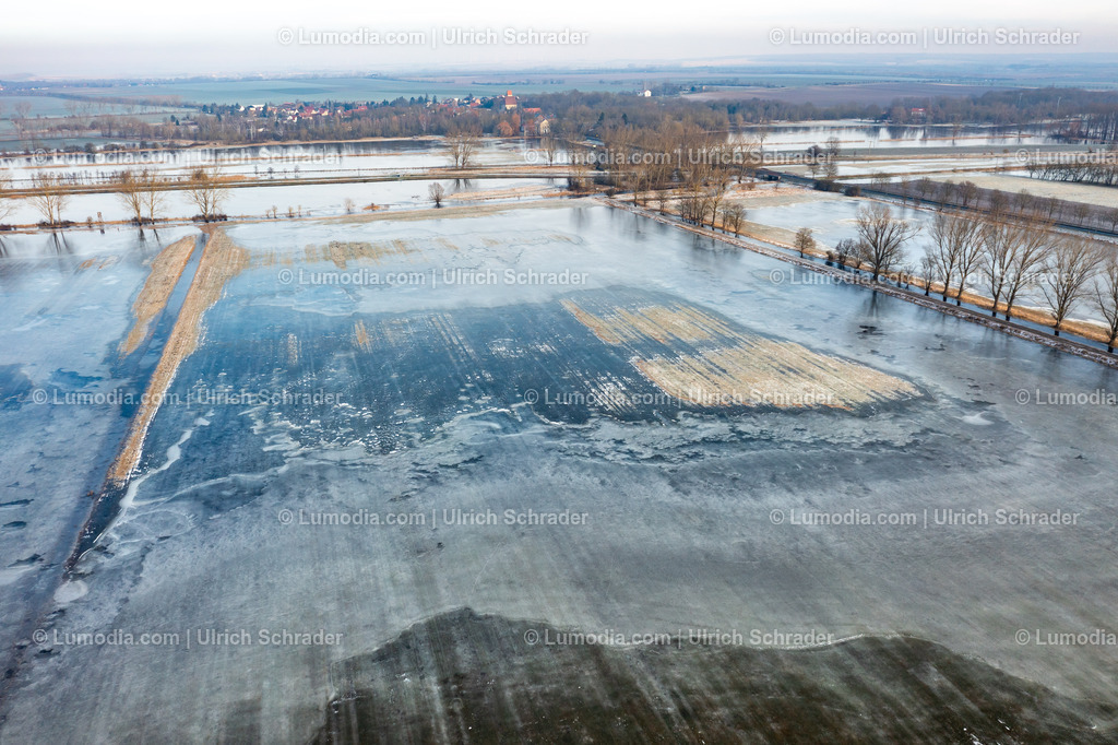 10049-51839 - Hochwasser im Großen Bruch | Stockfoto und Bilderpool mit Bildmaterial aus Deutschland, dem Harz, Halberstadt, Quedlinburg, Wernigerode und weltweit. Qualitativ hochwertige und professionelle Fotos anschauen und kaufen. - Realisiert mit Pictrs.com