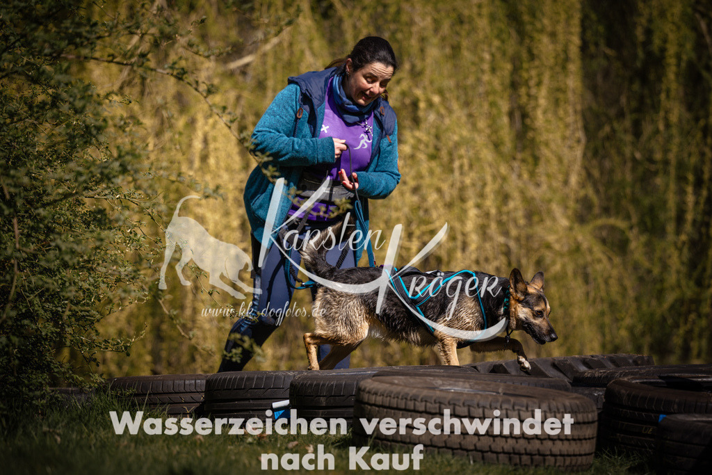 1041_ZZ98698 | kk-dogfotos