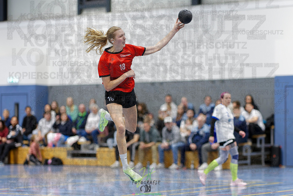 Frauen 2. Bezirksklasse; SG Rechtenbach - HSG Linden II | Frauen 2. Bezirksklasse; SG Rechtenbach - HSG Linden II am 16.11.2025 in Rechtenbach (Sporthalle Rechtenbach)Photo © 2025 - Jörg Heinrich - Realisiert mit Pictrs.com