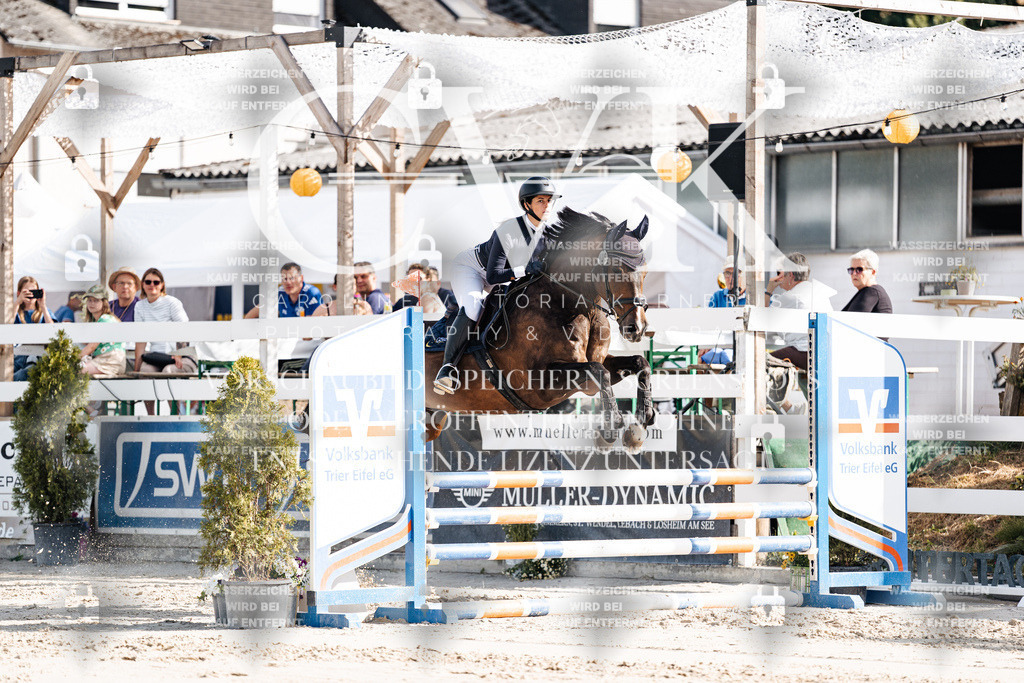 CK909209 | Turnierfotografie Pferdefotografie Trier Rheinland-Pfalz Pferdesport Reitsport Tierfotografie Sportfotografie Pferdevideo Pferdevideografie Equestrianvideography equestrianphotography  - Realisiert mit Pictrs.com