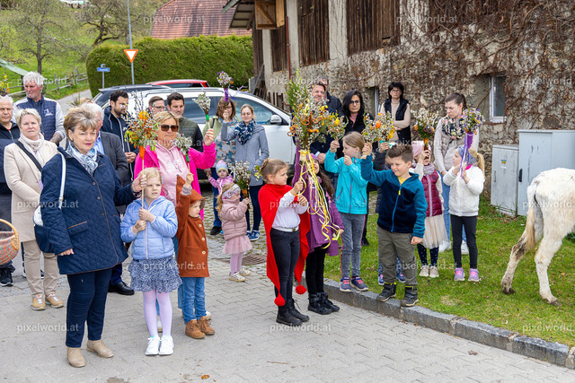 Palmweihe in Glanhofen | Bildershop von pixelworld.at - Realisiert mit Pictrs.com