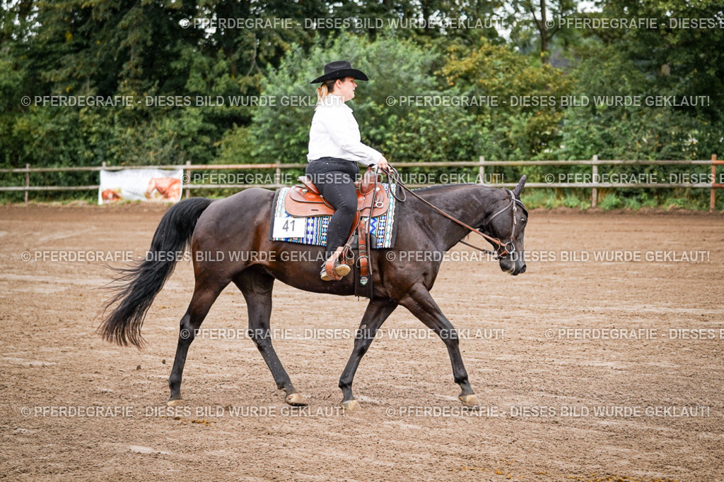 DSC05431 | Pferdegrafie